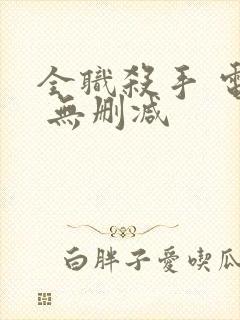 全职杀手 电影 无删减