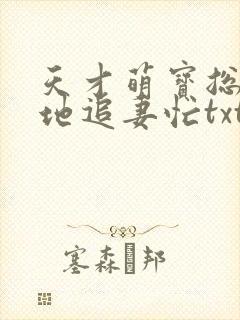 天才萌宝总裁爹地追妻忙txt