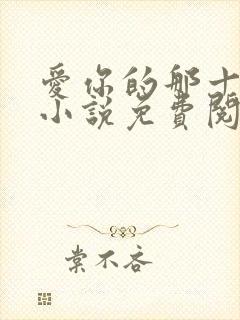 爱你的那十一年小说免费阅读