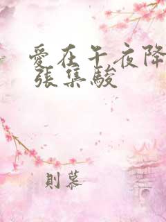 爱在午夜降临前 张集骏