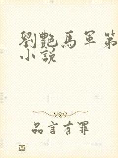 刘艳马军第九部小说
