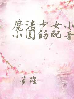 魔法少女小圆中小圆的配音是谁