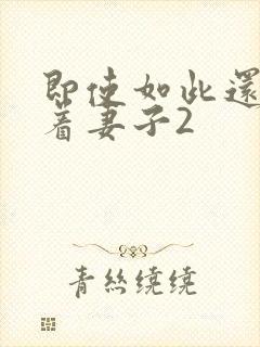 即使如此还是爱着妻子2