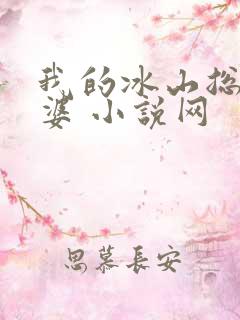 我的冰山总裁老婆 小说网