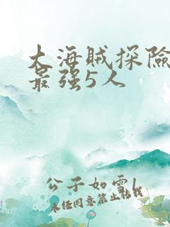大海贼探险物语最强5人