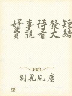 婿事待发短剧免费观看大结局后续