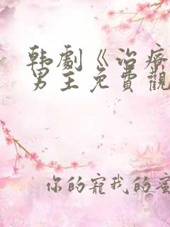 韩剧《治疗》双男主免费观看