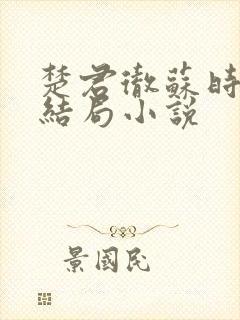 楚君彻苏时锦大结局小说