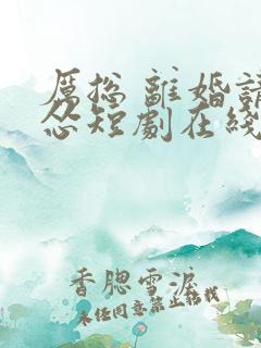 厉总 离婚请别怂短剧在线观看免费高清