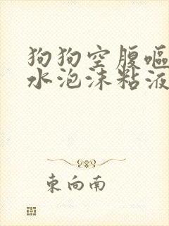 狗狗空腹呕吐黄水泡沫粘液