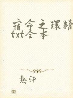 宿命之环精校版txt全本