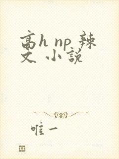 高h np 辣文 小说