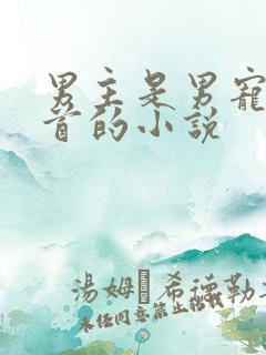 男主是男宠或面首的小说