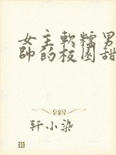 女主软糯男主痞帅的校园甜文