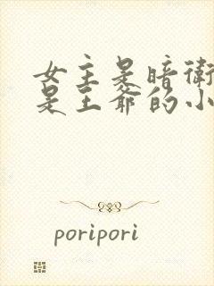 女主是暗卫男主是王爷的小说