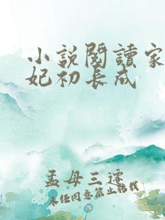 小说阅读家有王妃初长成