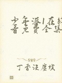 少年派1在线观看免费全集