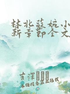 林北苏婉小说最新章节全文阅读