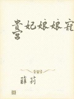 贵妃娘娘宠冠后宫