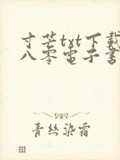寸芒txt下载八零电子书