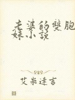 老婆的双胞胎表妹小说