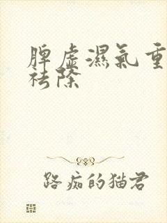 脾虚湿气重怎样祛除