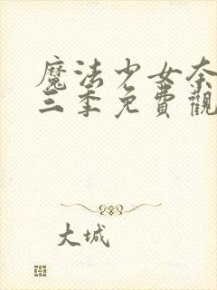 魔法少女奈叶第三季免费观看全集