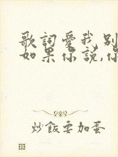 歌词爱我别走,如果你说,你不爱我