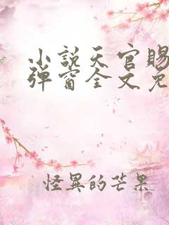 小说天官赐福无弹窗全文免费阅读