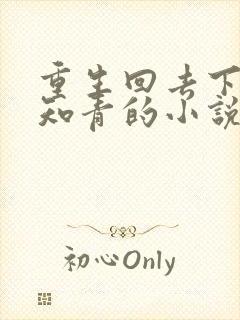 重生回去下乡做知青的小说