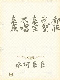 来不来我都等你原唱完整版歌词