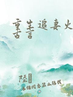 重生追妻火葬场古言