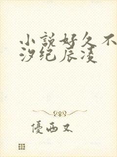 小说好久不见白汐纪辰凌