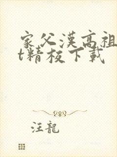 家父汉高祖txt精校下载