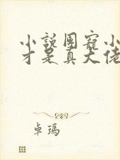 小说团宠小师妹才是真大佬免费阅读