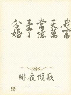 分手当天,我闪婚了亿万富豪txt