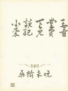 小说下堂王妃逆袭记免费看