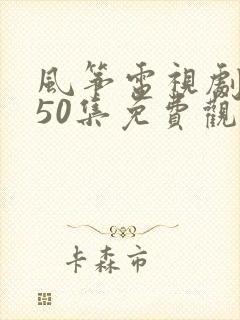 风筝电视剧1一50集免费观看