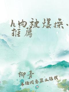 h肉被爆操小说推荐