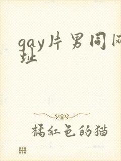 gay片男同网址
