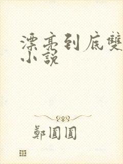 漂亮到底双男主小说