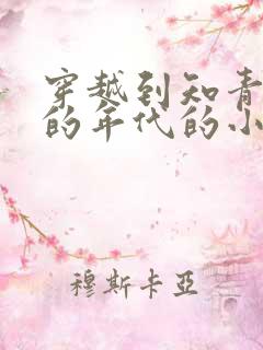 穿越到知青下乡的年代的小说