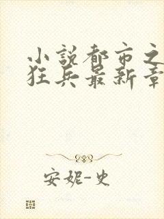 小说都市之最强狂兵最新章