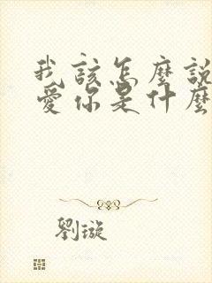 我该怎么说我不爱你是什么歌