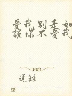 爱我别走如果你说你不爱我歌词