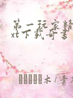 第一玩家精校txt下载奇书网