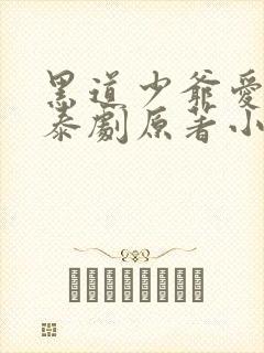 黑道少爷爱上我泰剧原著小说