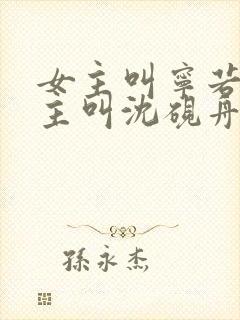 女主叫宁若曦男主叫沈砚舟的小说