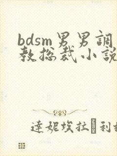bdsm男男调教总裁小说