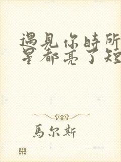 遇见你时所有星星都亮了短剧免费观看